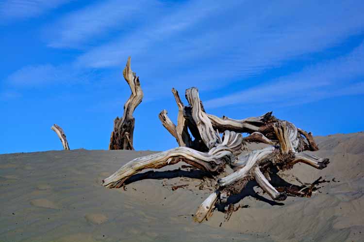 sand dunes